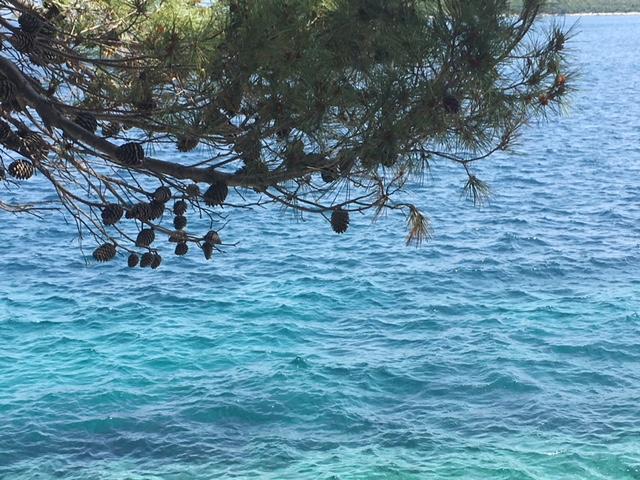 Apartment Pomirenja Korčula Екстериор снимка